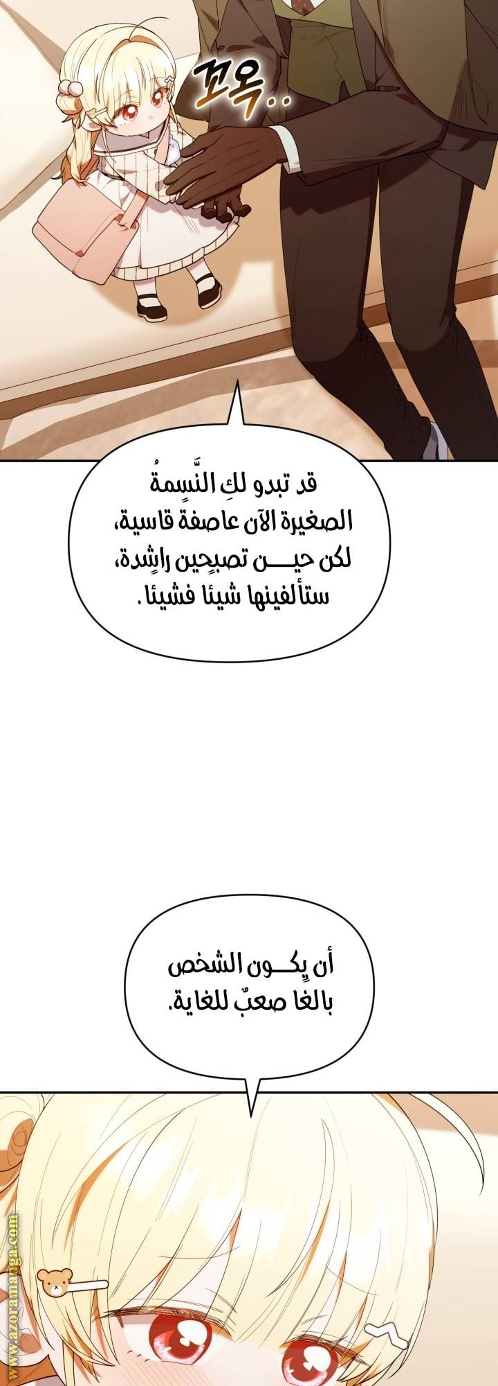 الصفحة 27