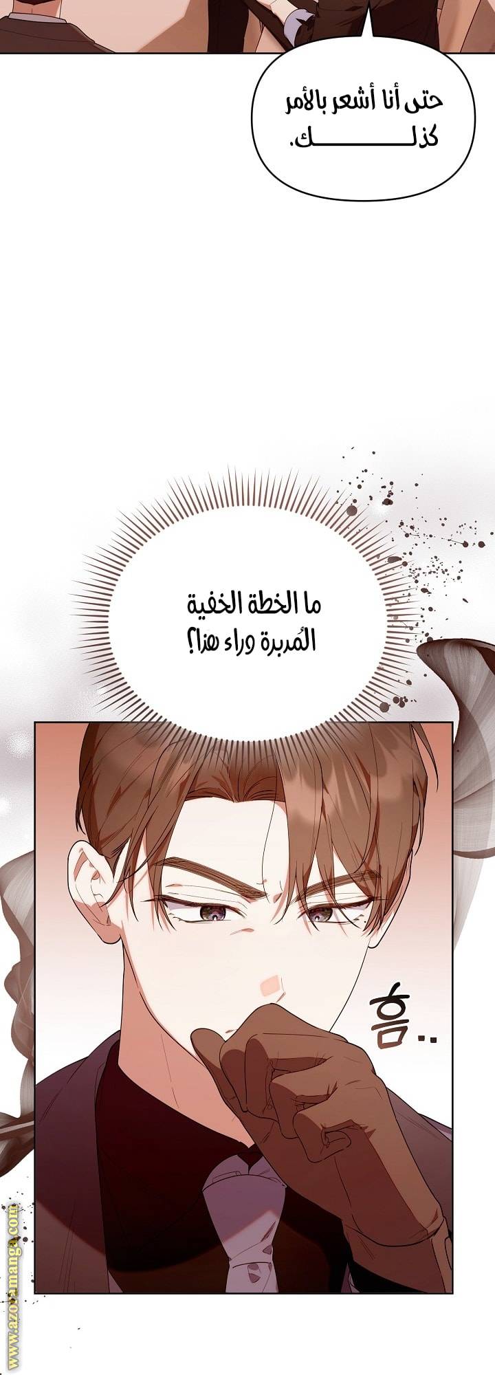الصفحة 27