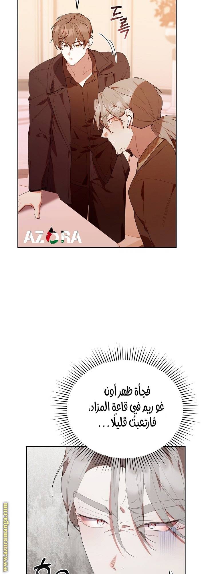 الصفحة 29