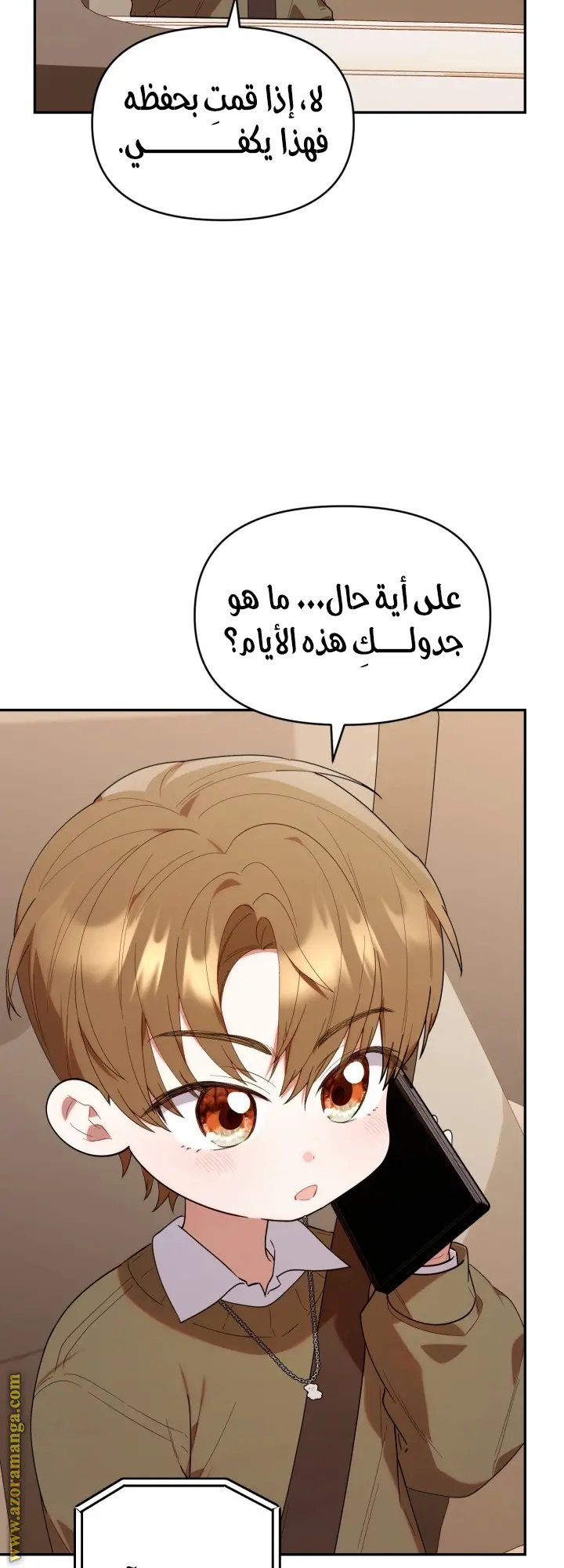 الصفحة 11