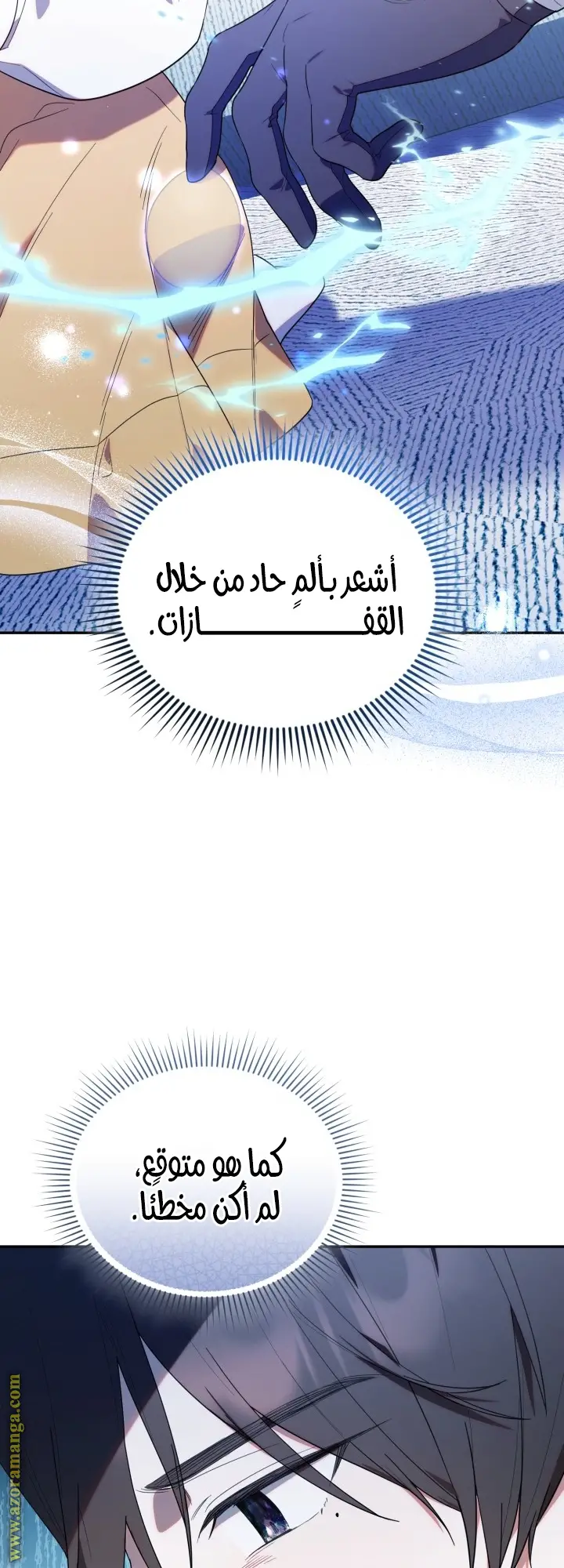 الصفحة 27