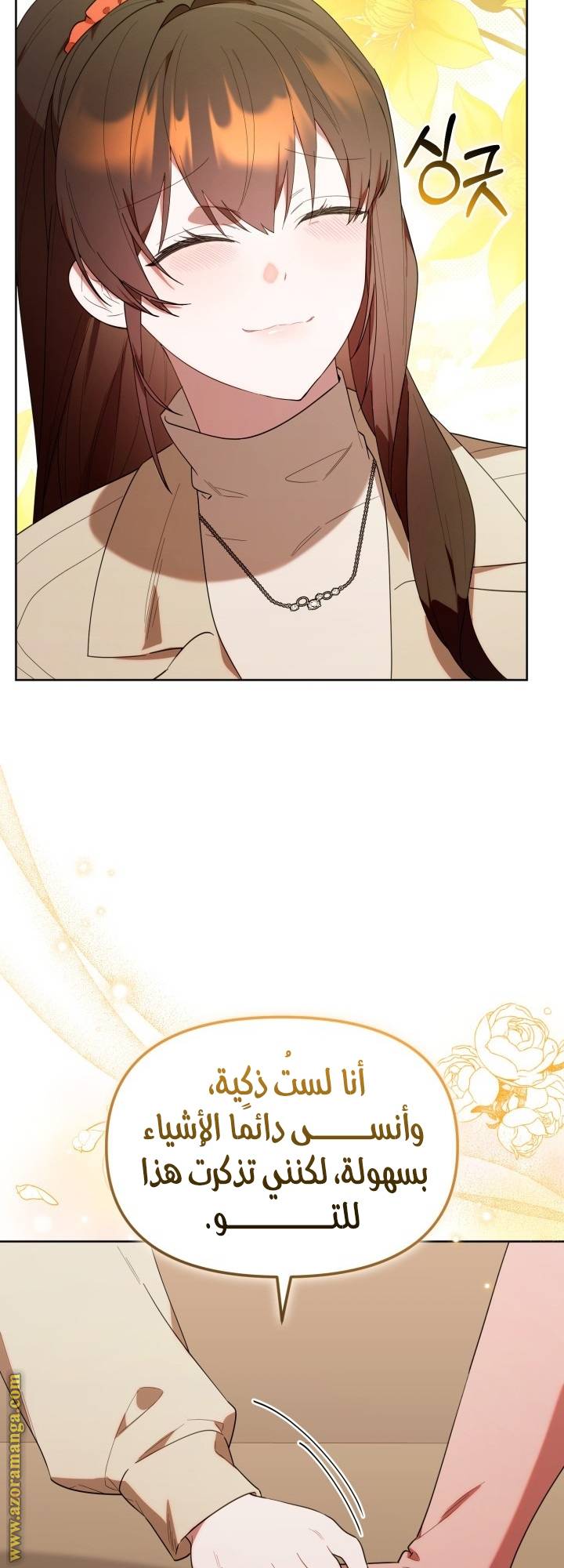 الصفحة 19