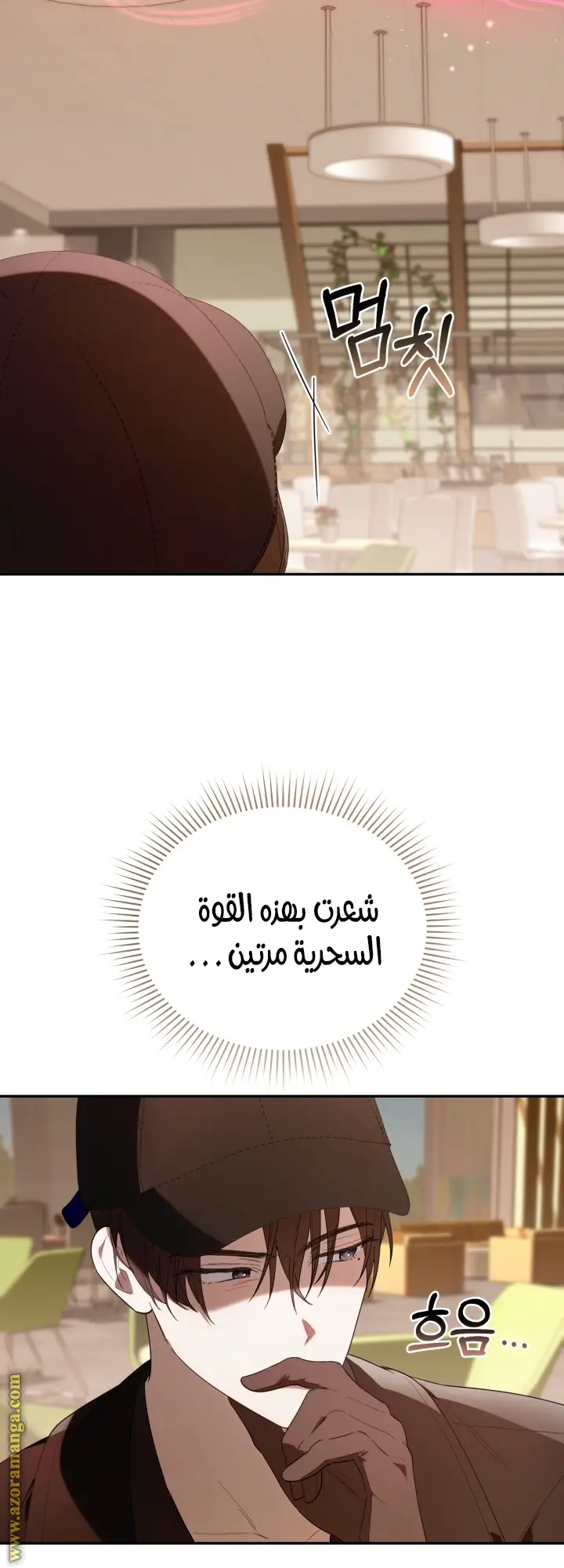 الصفحة 13