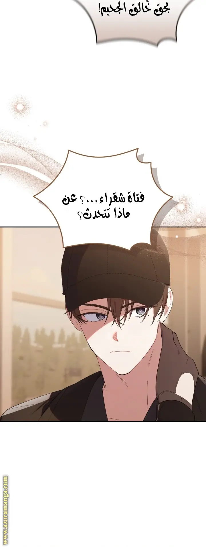 الصفحة 17