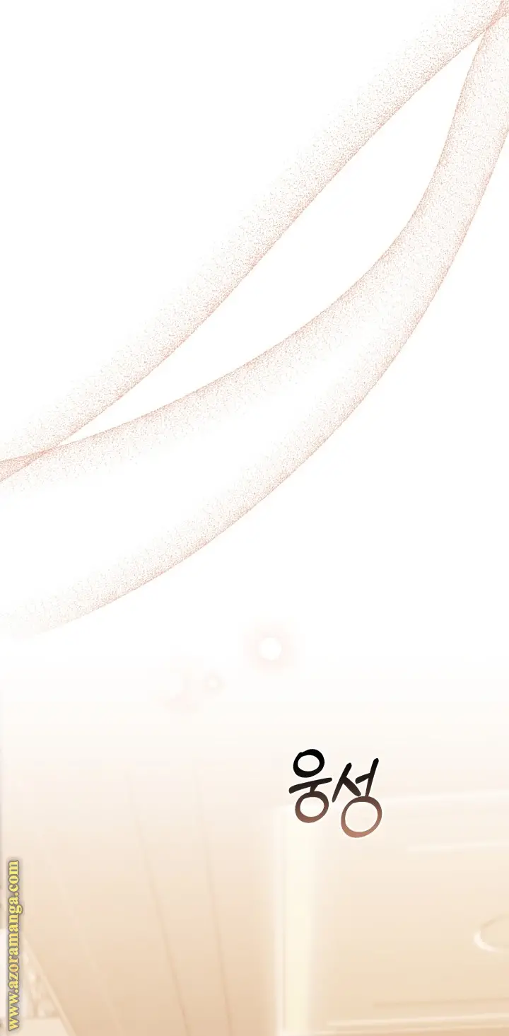الصفحة 45