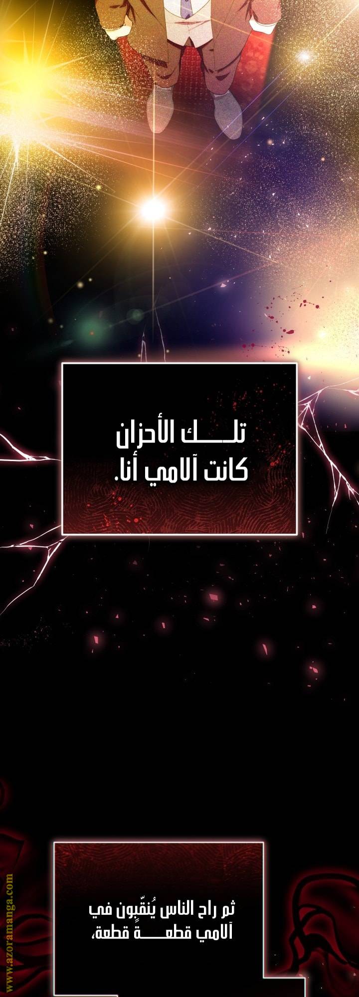 الصفحة 25