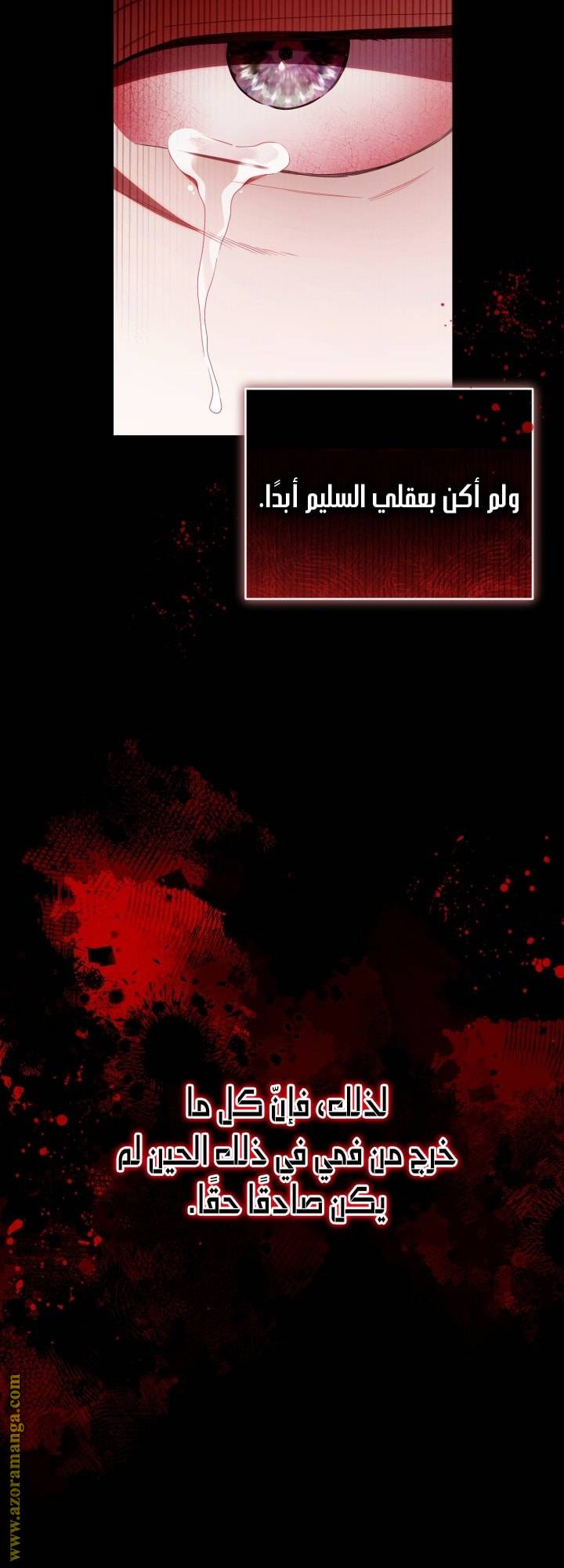 الصفحة 27
