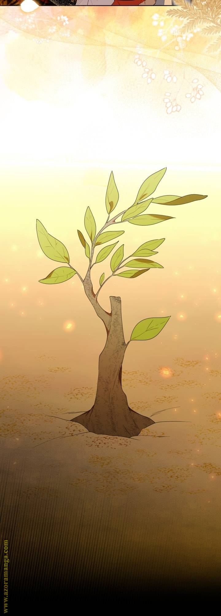 الصفحة 39