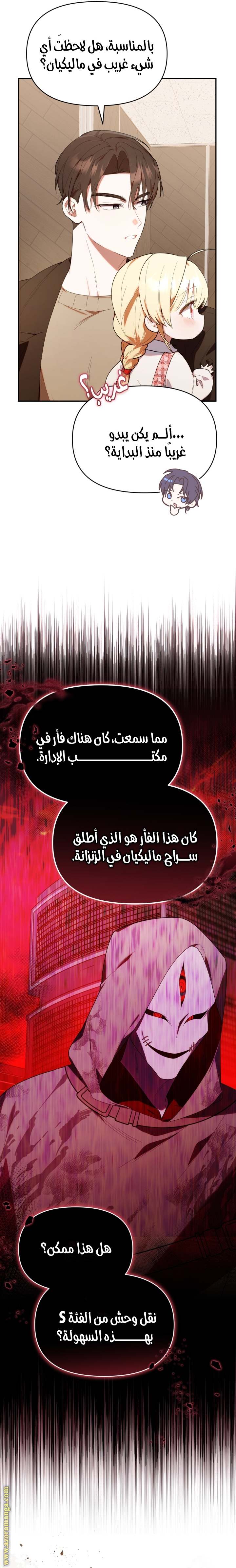 الصفحة 17