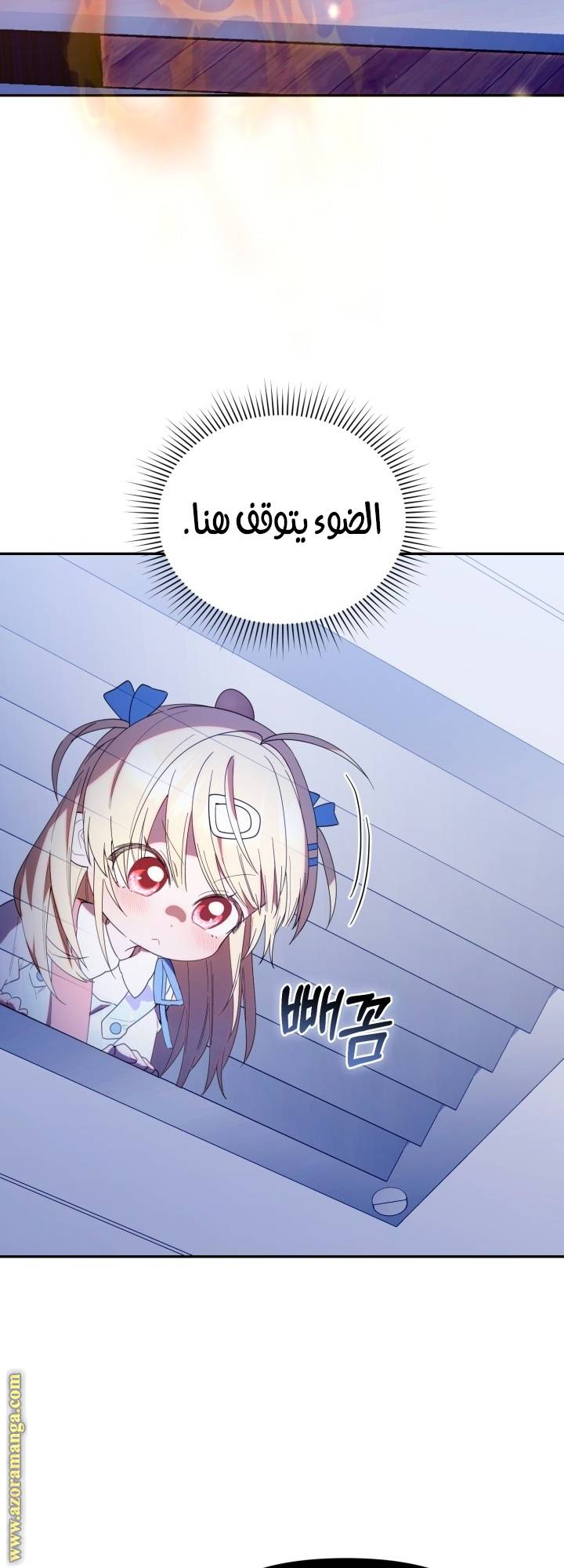 الصفحة 29