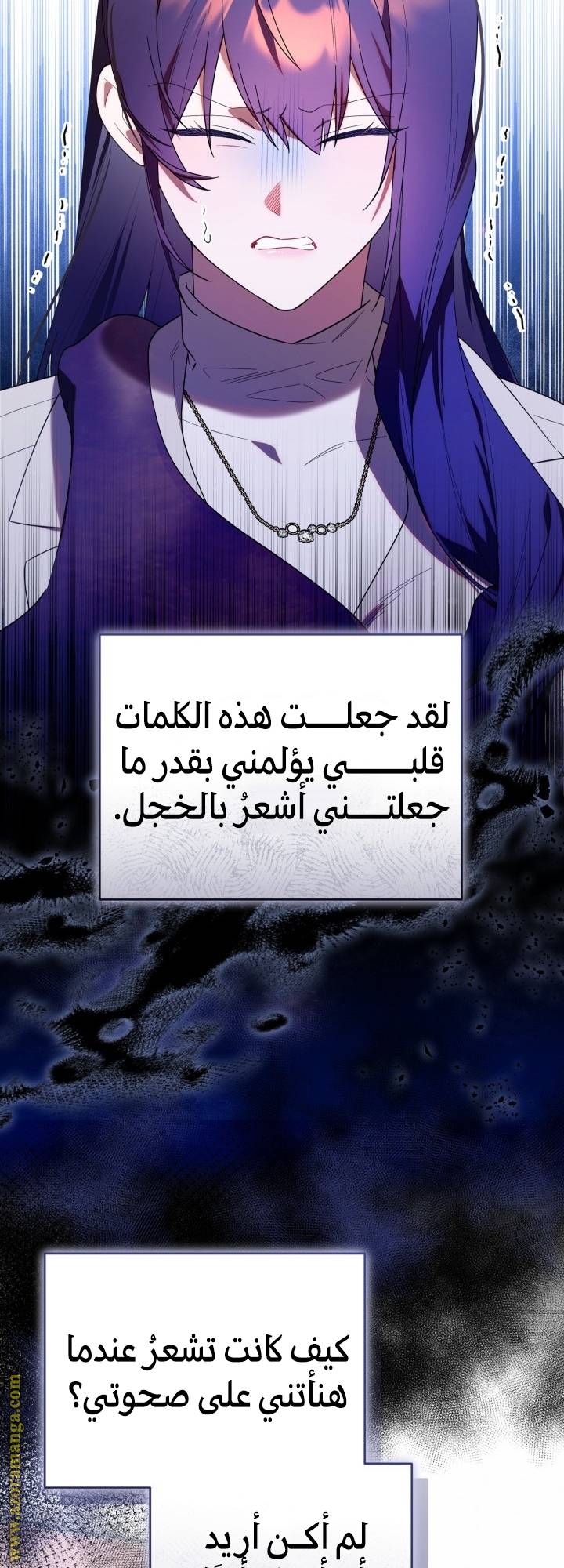 الصفحة 17