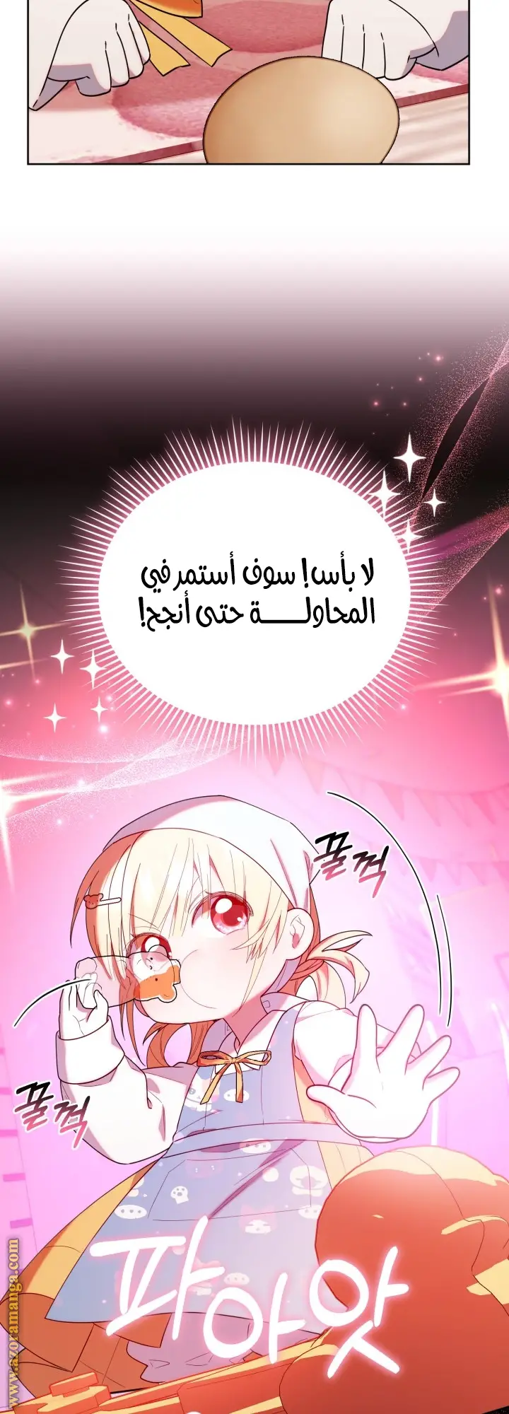 الصفحة 13