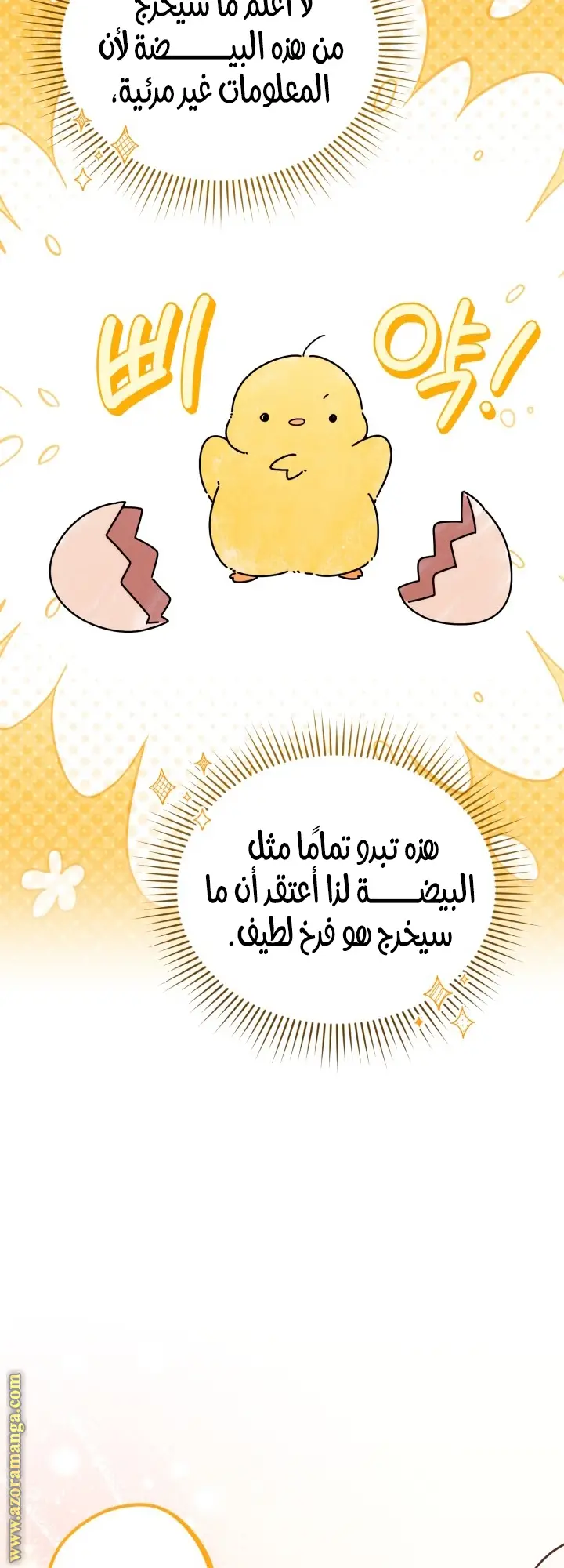 الصفحة 20