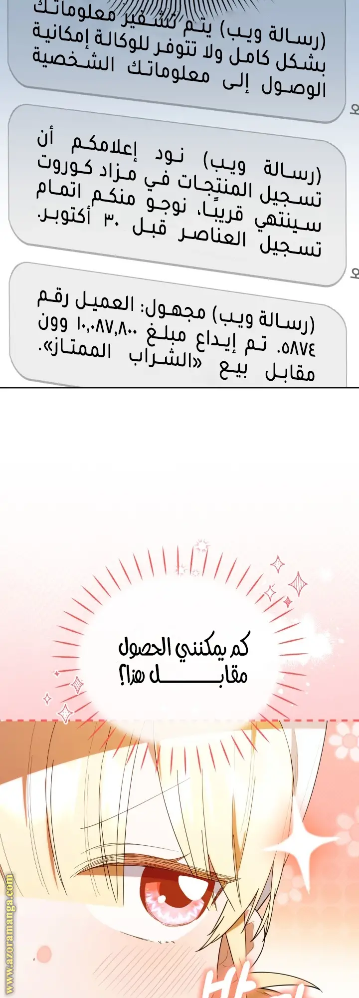 الصفحة 29