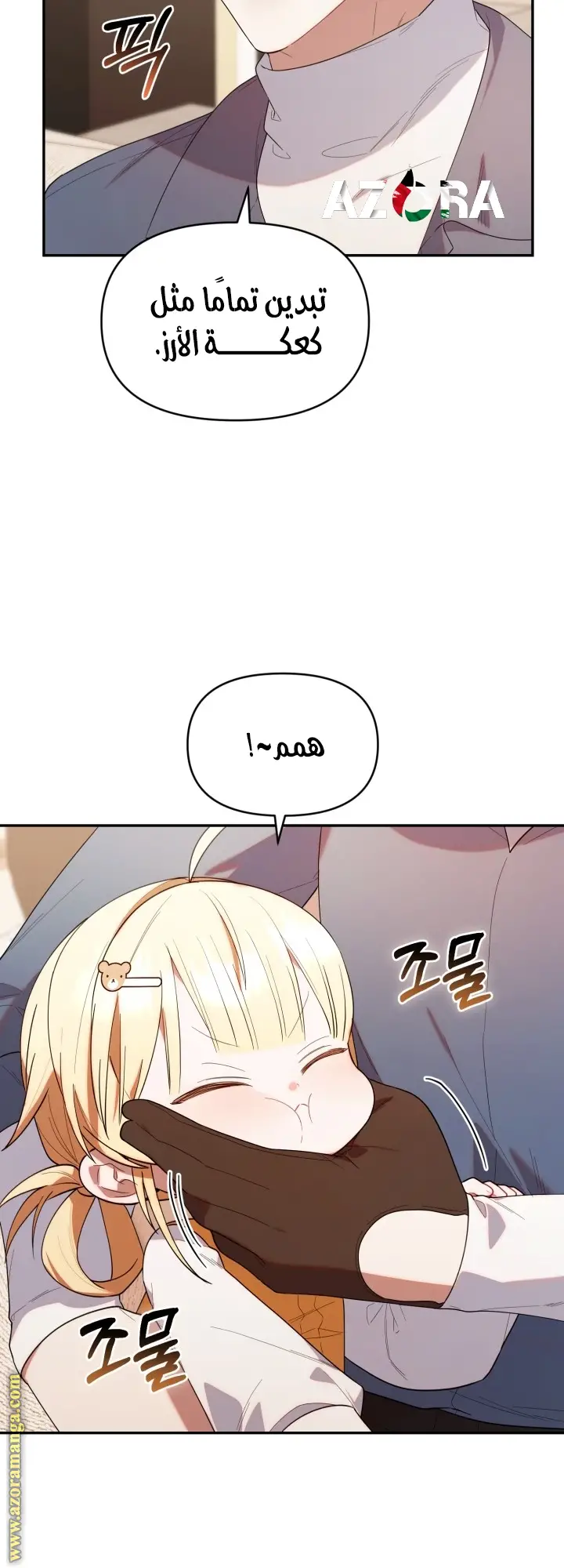 الصفحة 41