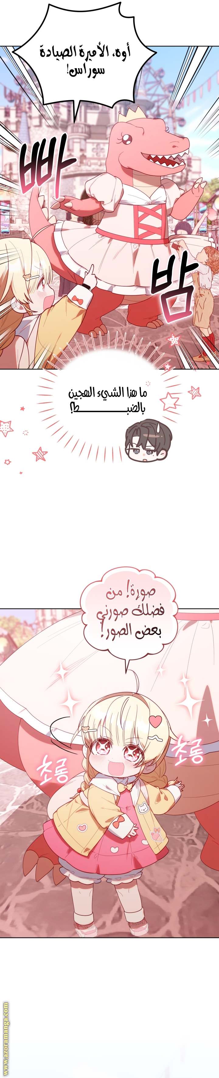 الصفحة 17