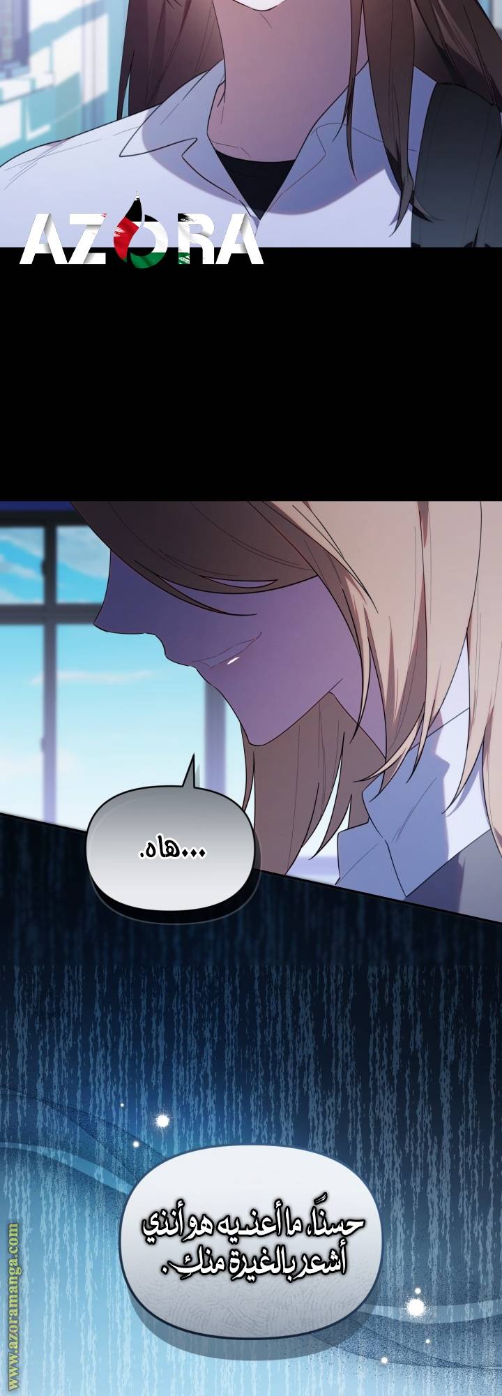 الصفحة 25