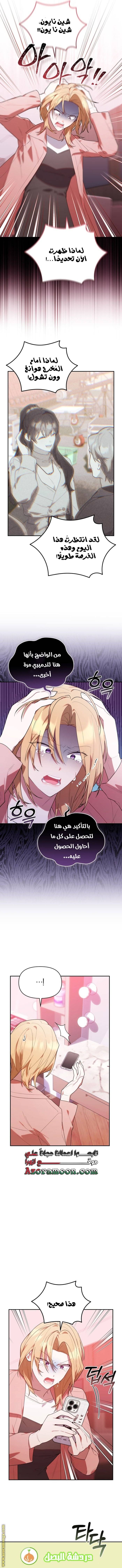 الصفحة 13