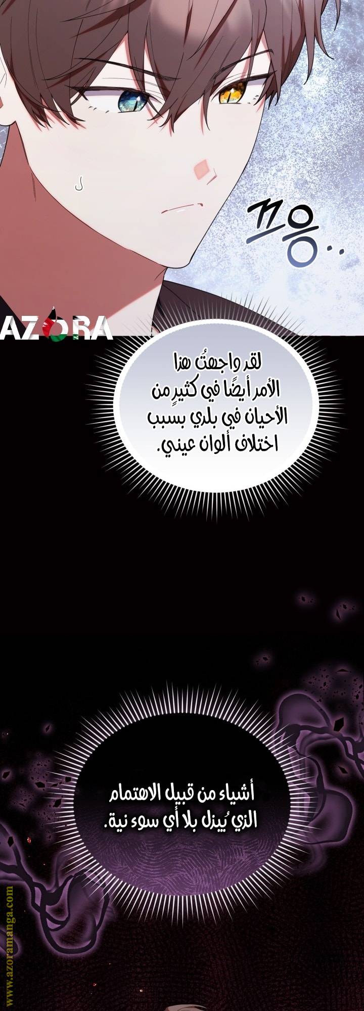 الصفحة 12