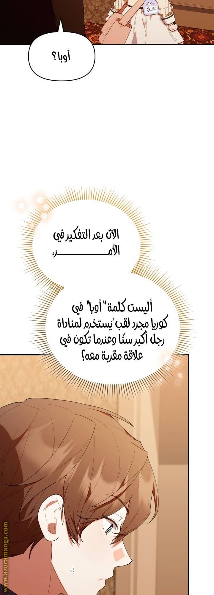 الصفحة 17