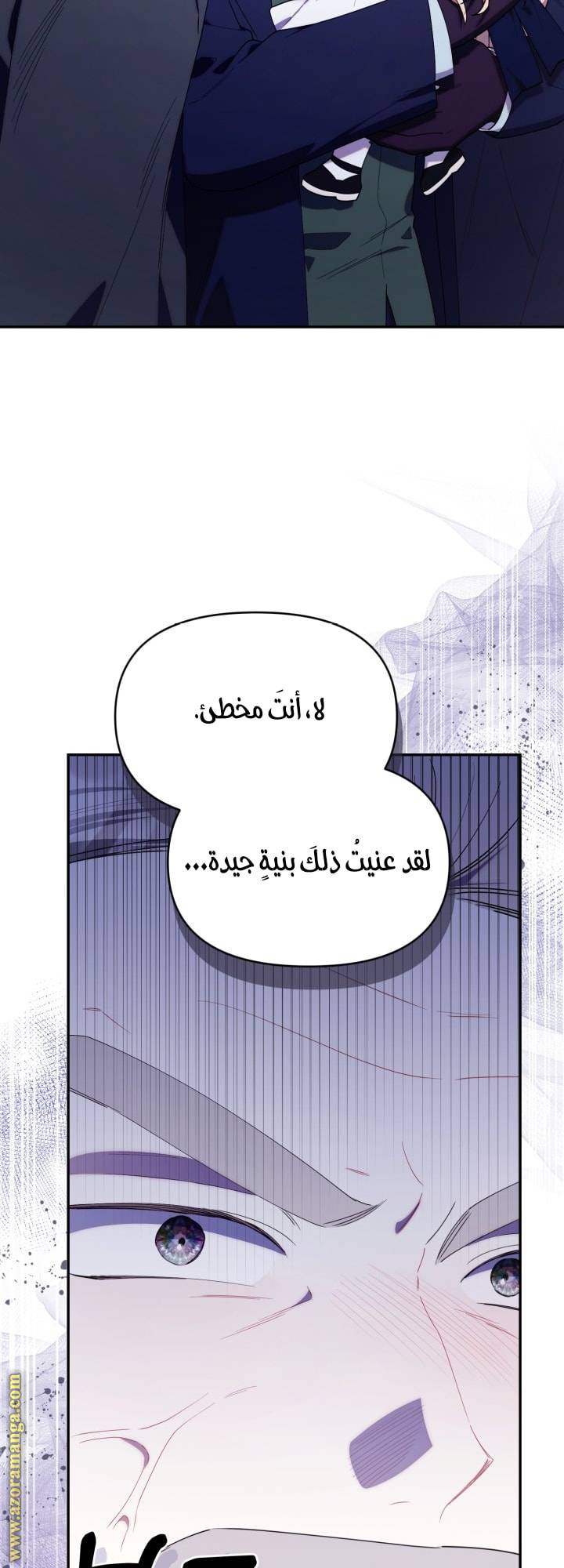 الصفحة 25