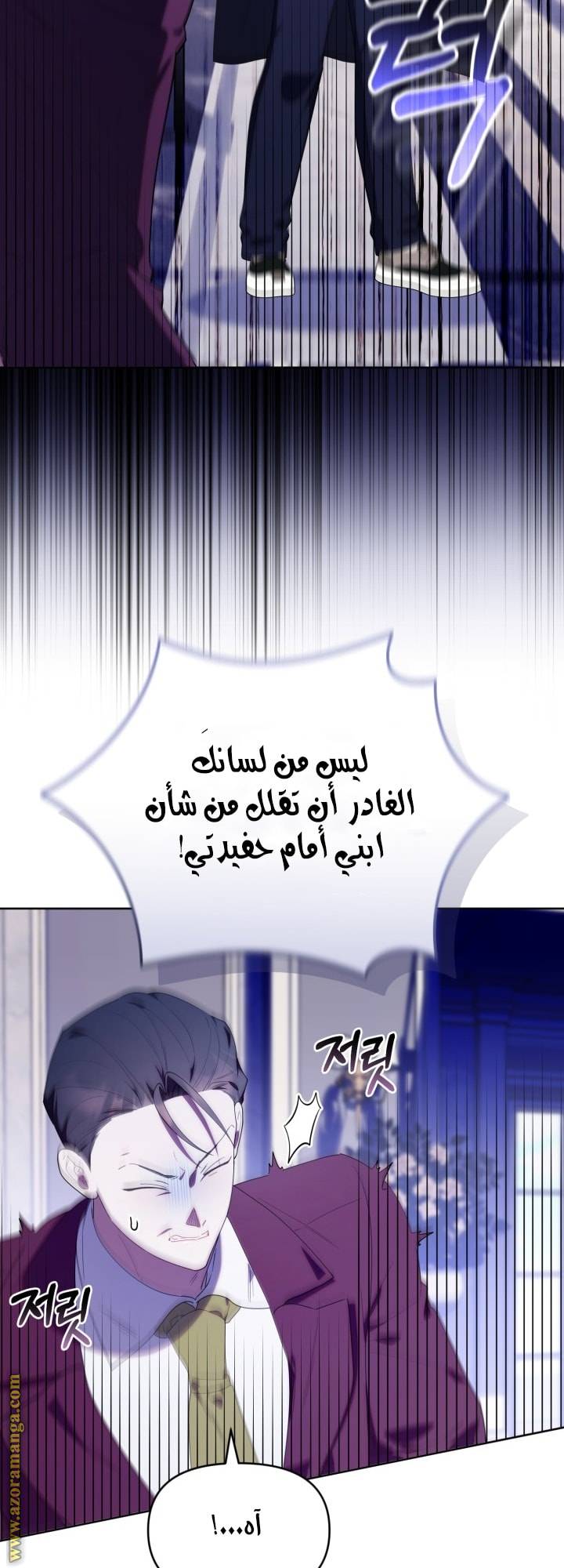الصفحة 27