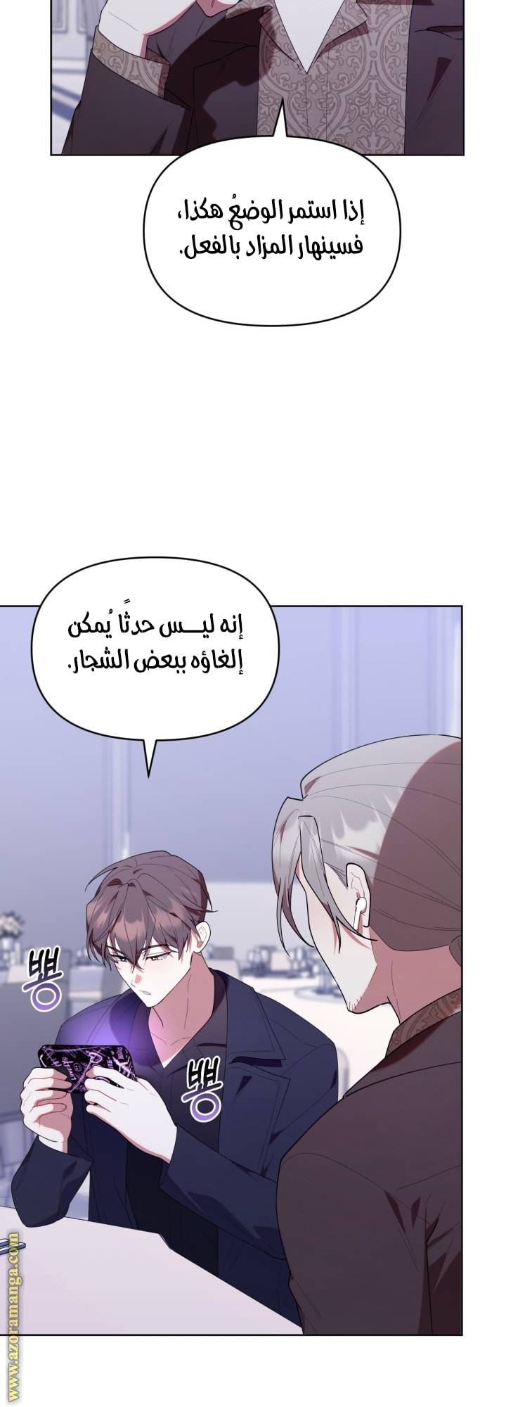 الصفحة 43