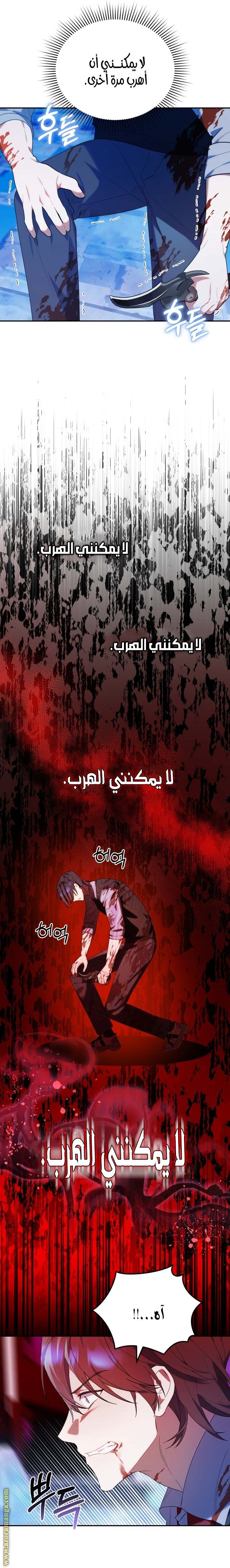 الصفحة 29