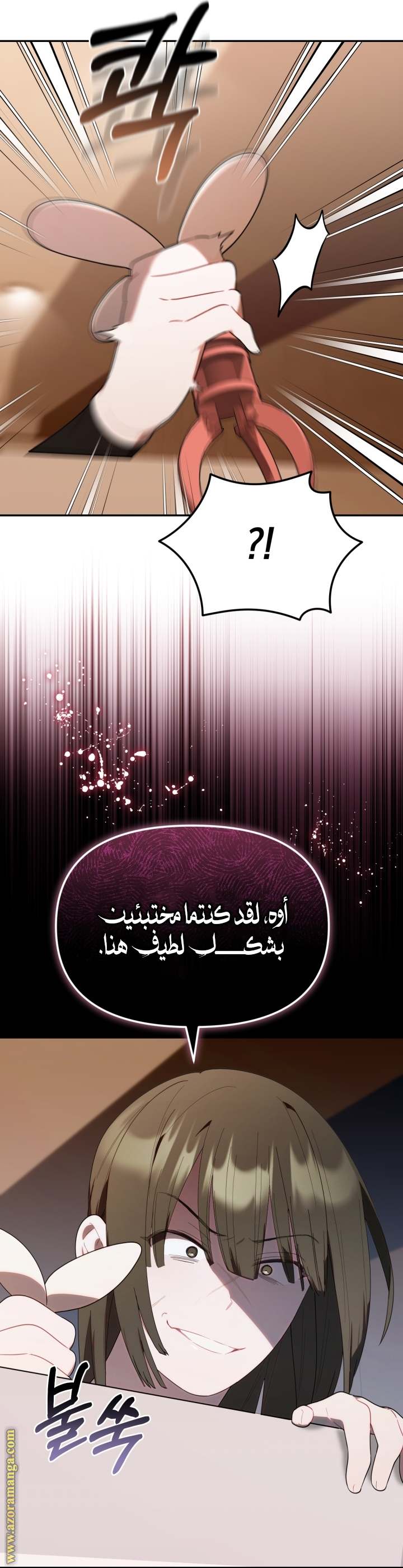 الصفحة 12