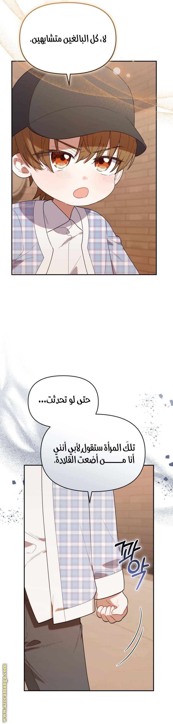 الصفحة 24