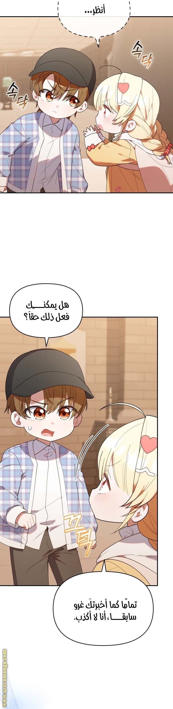 الصفحة 27