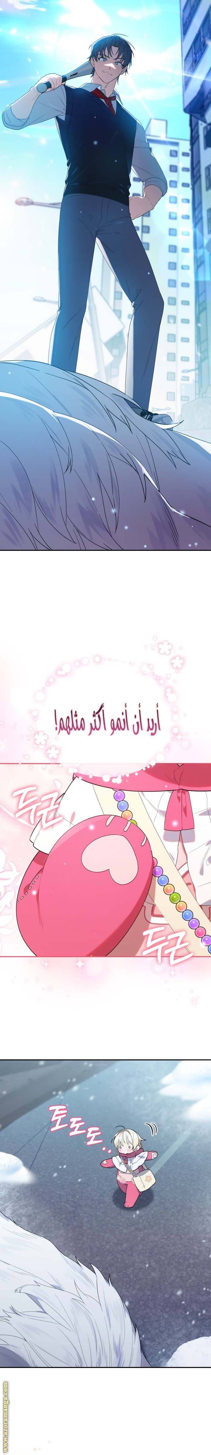 الصفحة 20