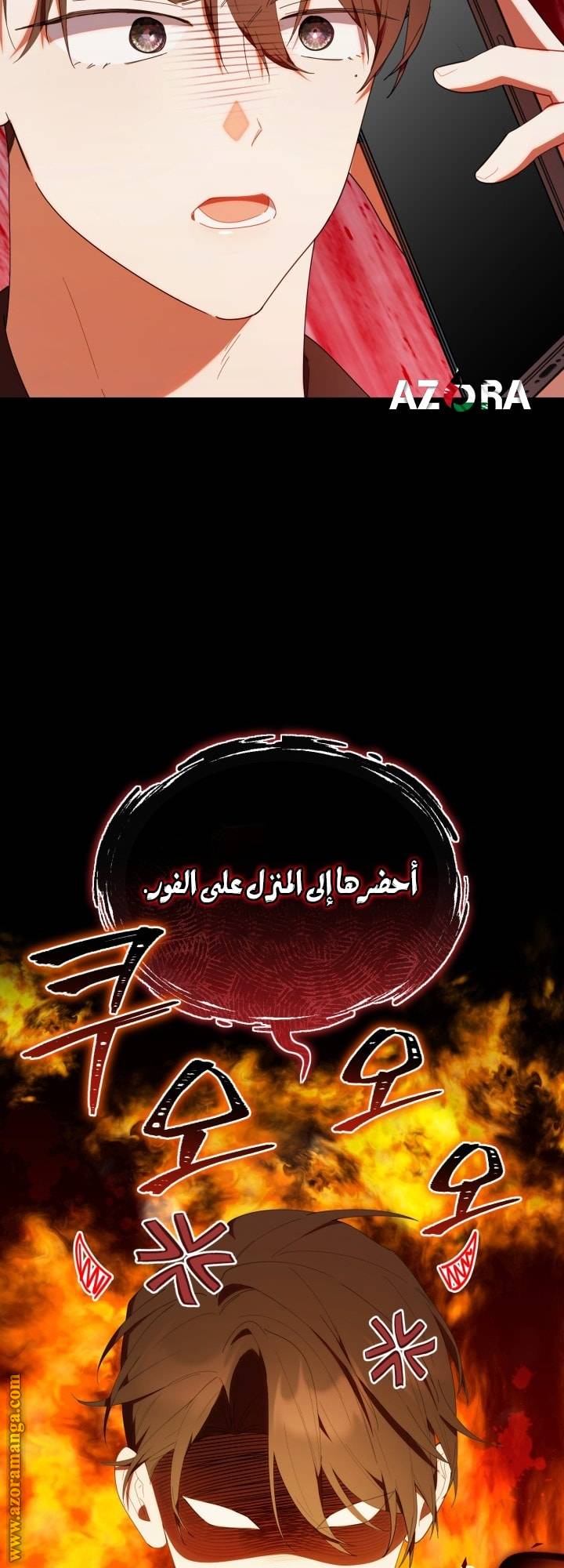 الصفحة 49