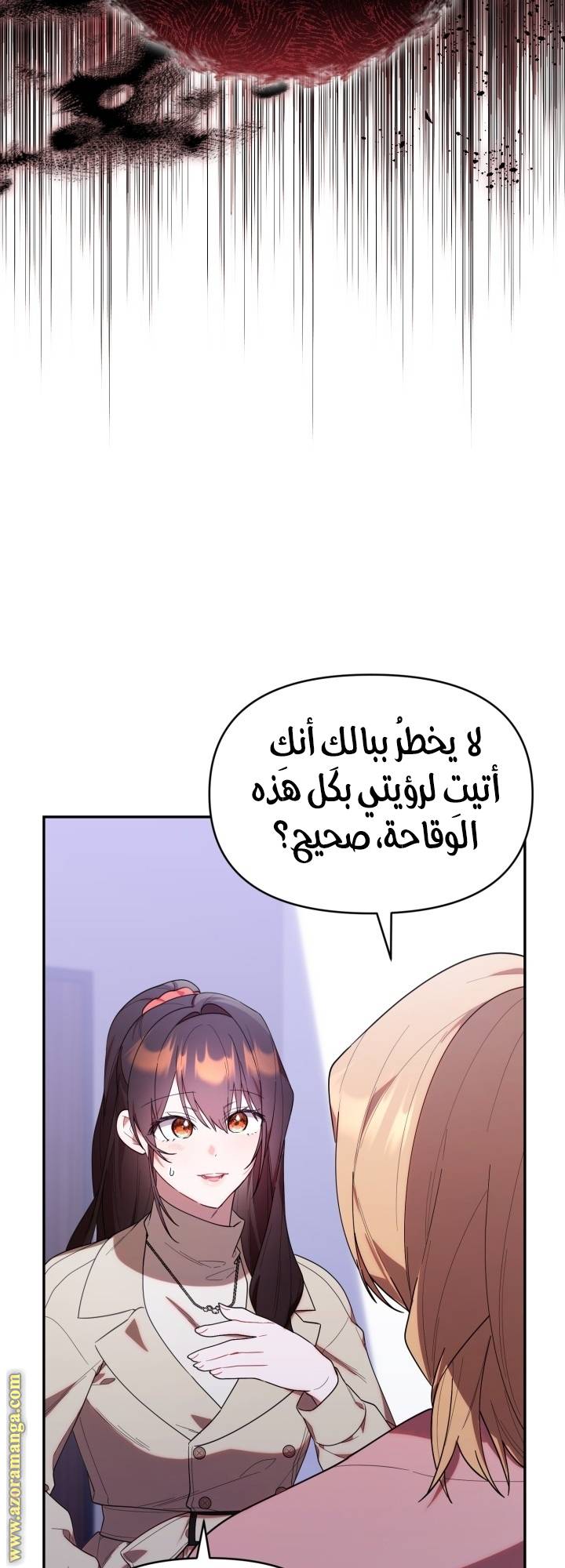 الصفحة 26