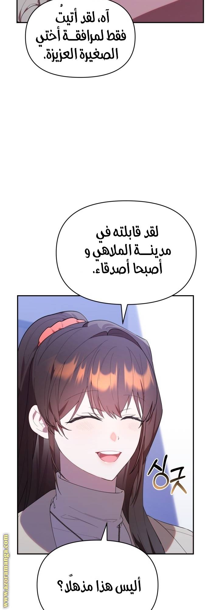 الصفحة 27