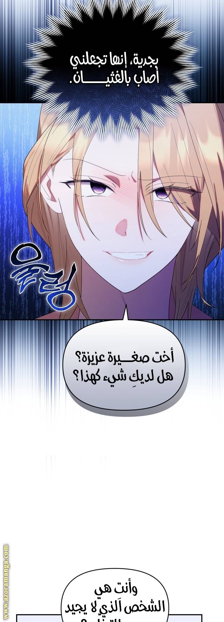 الصفحة 29