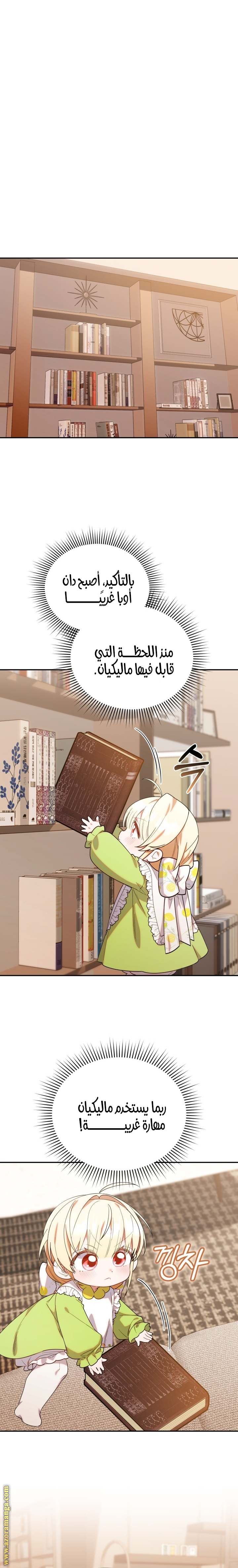 الصفحة 13