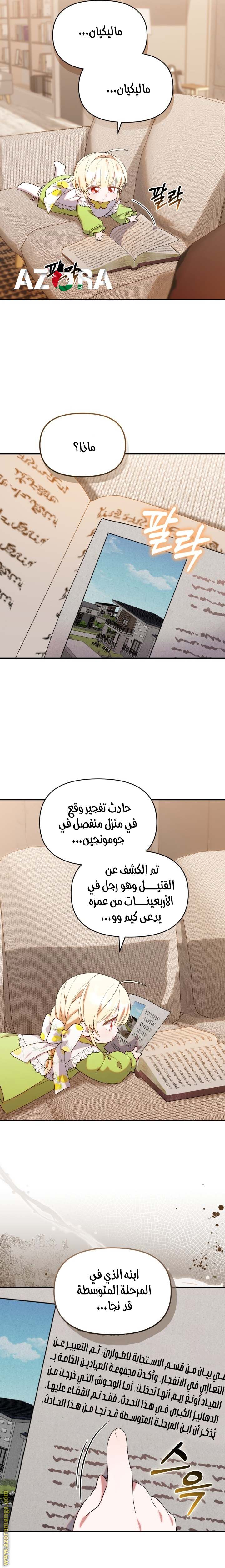 الصفحة 14