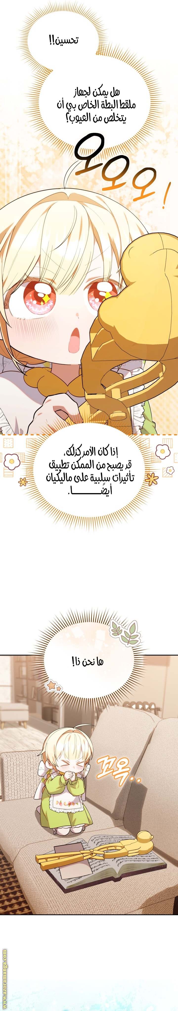 الصفحة 17