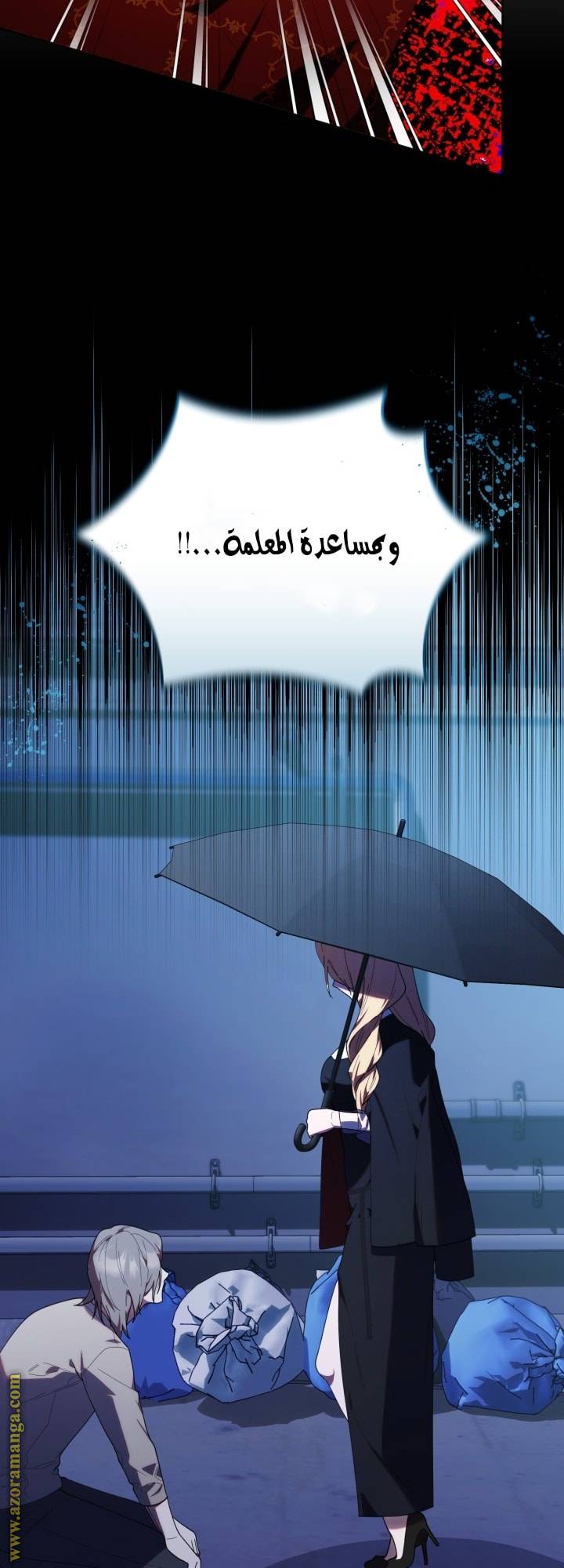 الصفحة 17