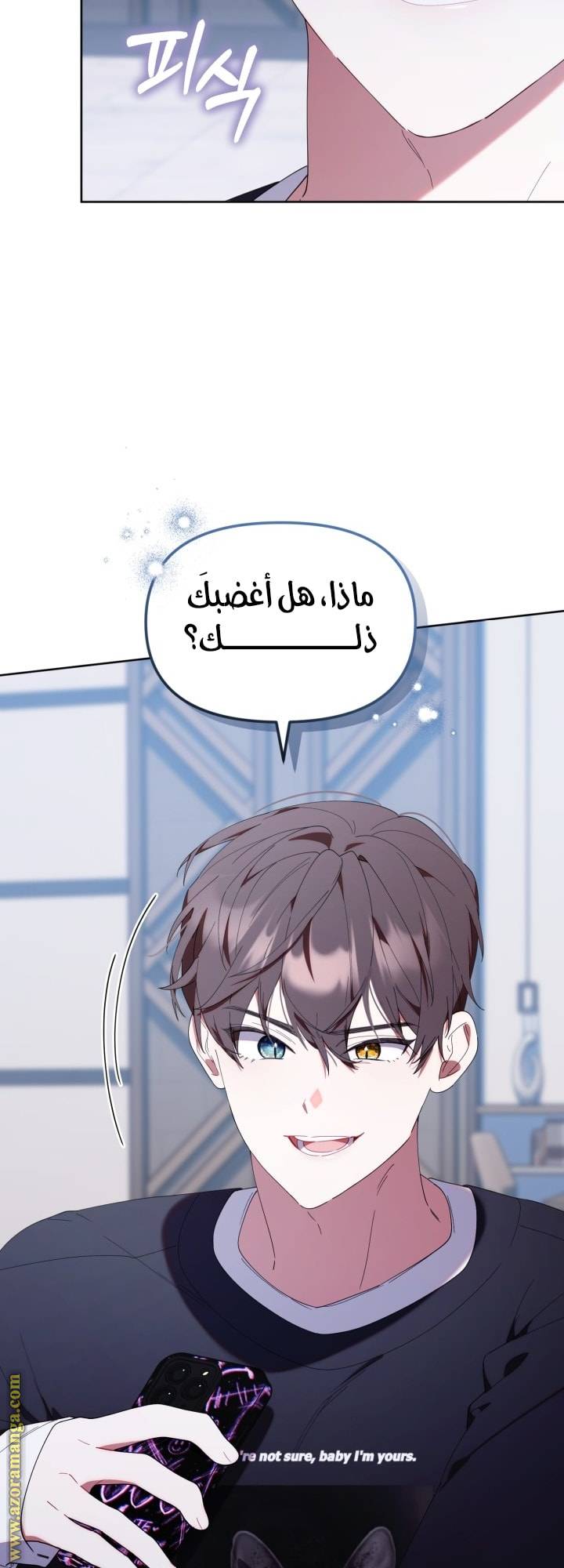 الصفحة 25