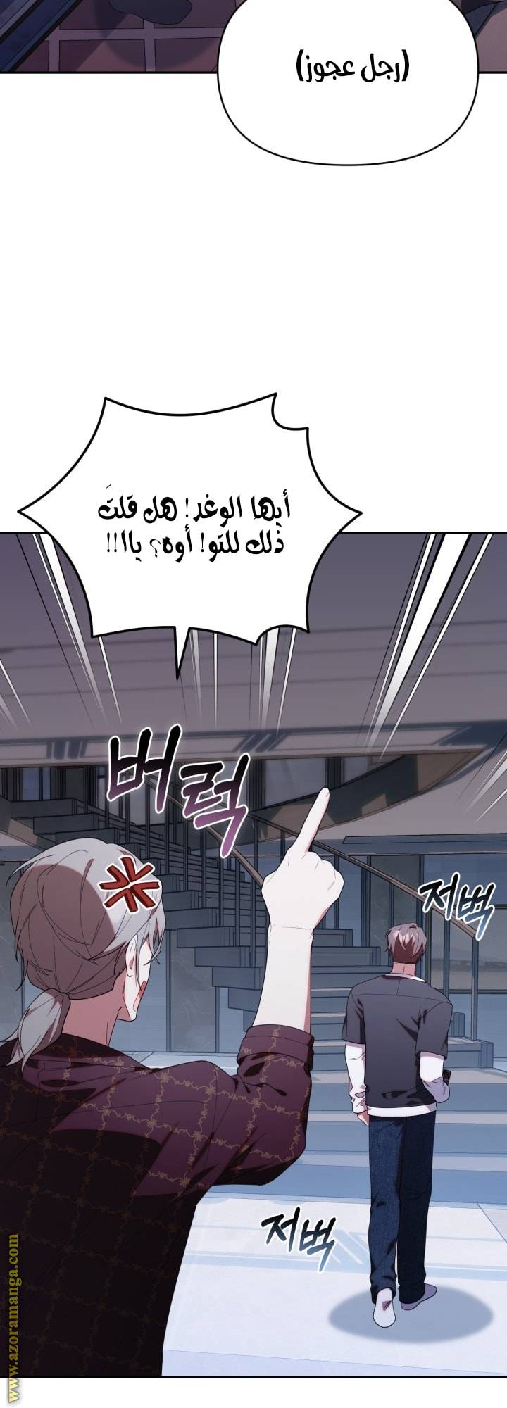 الصفحة 27
