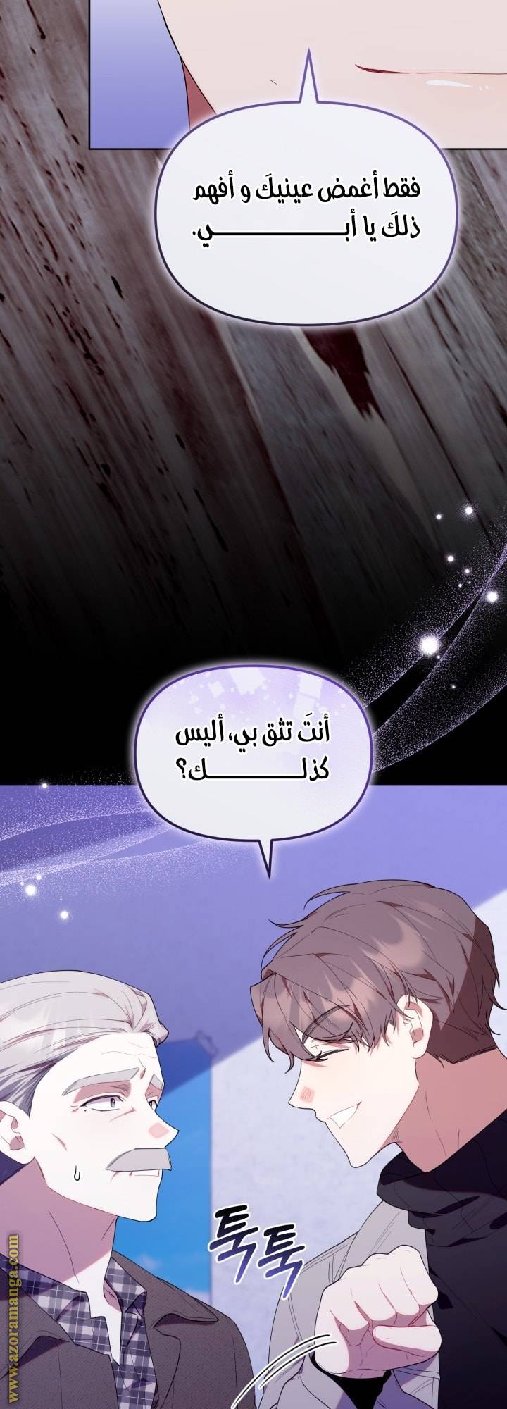 الصفحة 17