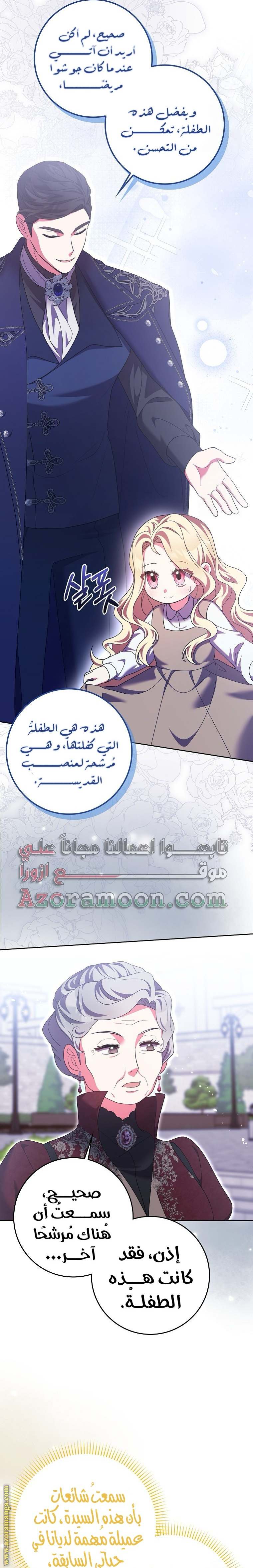 الصفحة 17