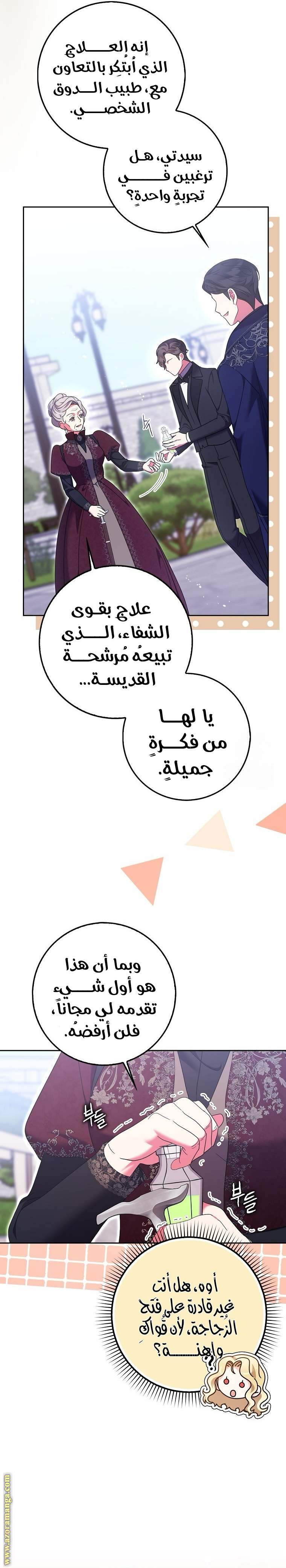 الصفحة 19