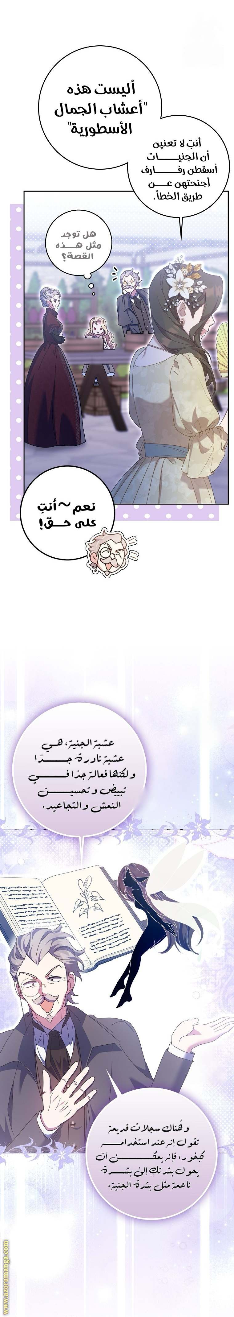 الصفحة 25