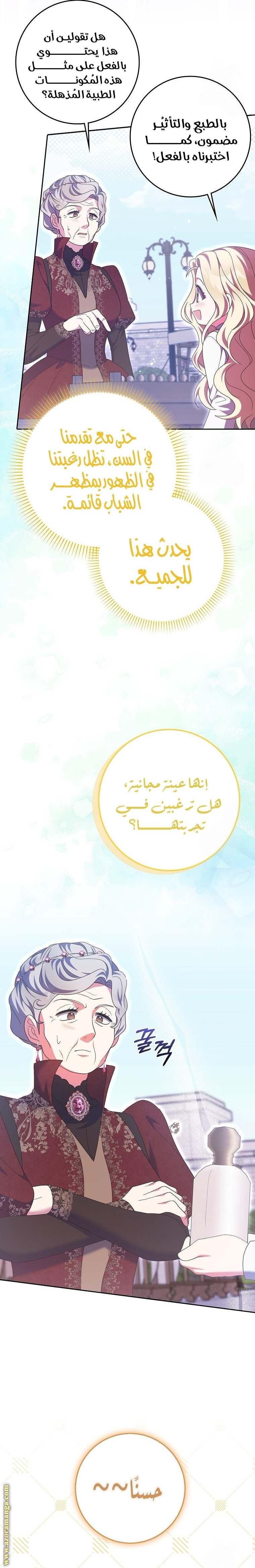 الصفحة 26