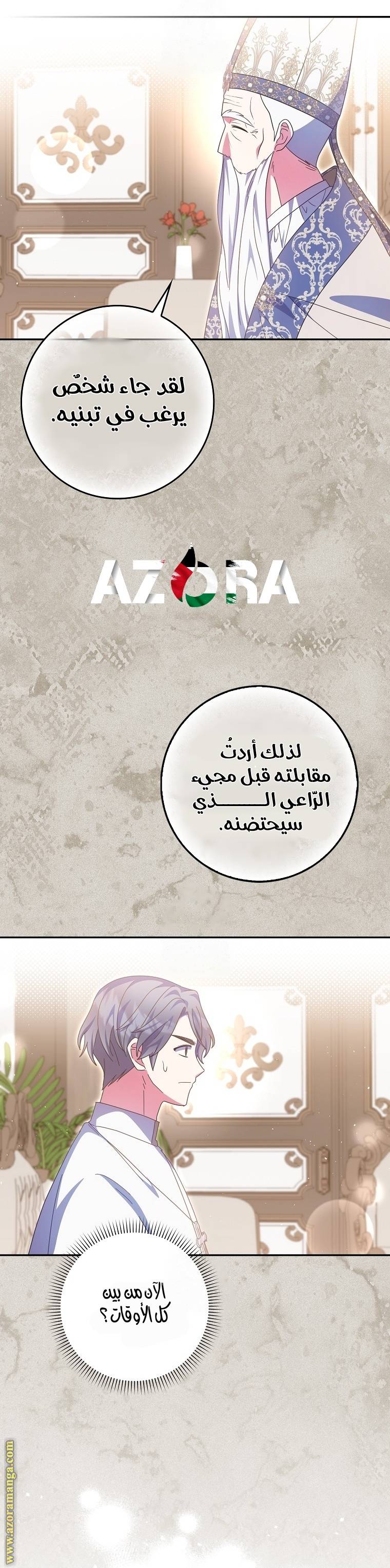 الصفحة 12