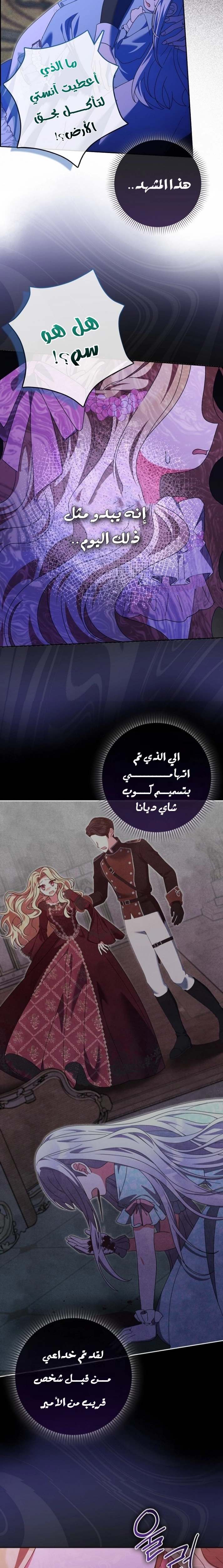 الصفحة 17