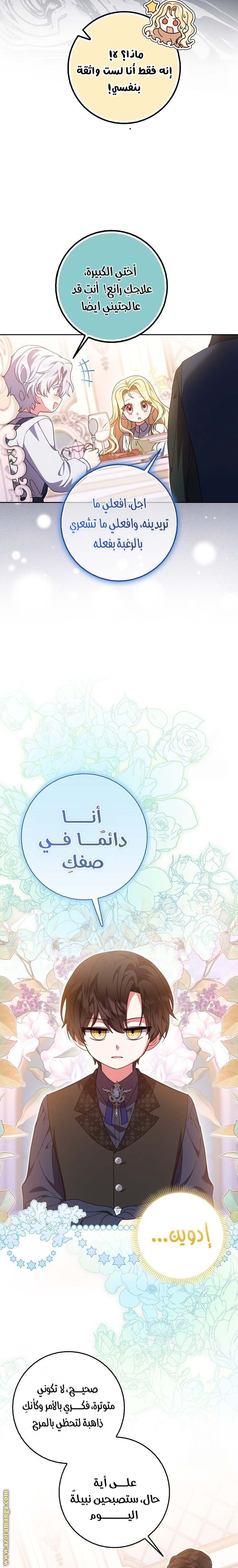 الصفحة 17